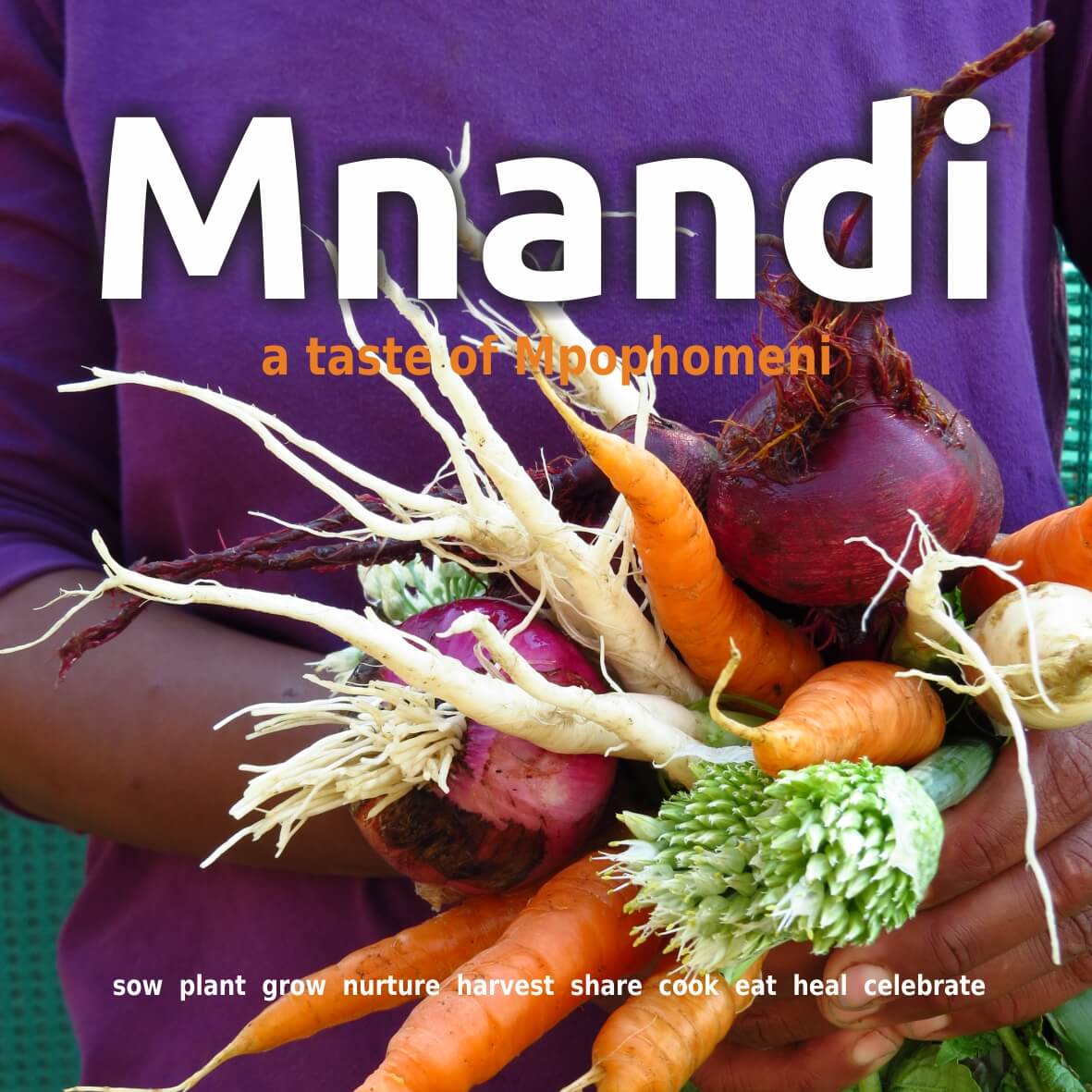 mnandi-cover