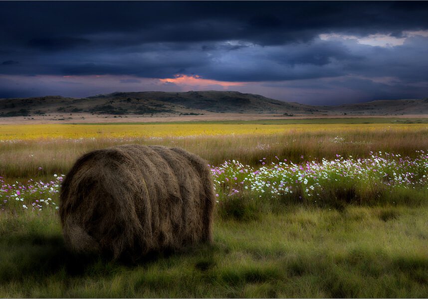 03 Hooi Baal tussen Kosmos - Landscapes - Francois v Jaarsveld