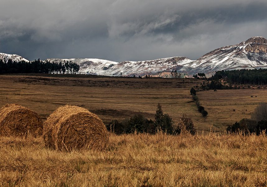Landscape Winner by Leon Heyes The Dargle (2) Landscape Winner by Leon Heyes The Dargle (2)