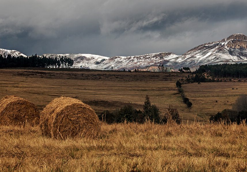 Landscape Winner by Leon Heyes The Dargle (2)