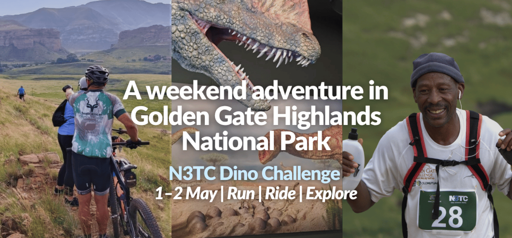 Dino Challenge Event - Web Header 30 Apr 2026